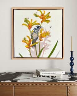 Alternative view of New Holland Honeyeater in the kangaroo paw - Kirsty McIntyre