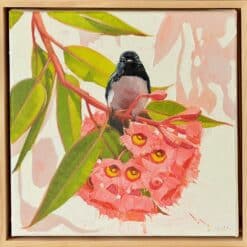 Willy wags with gum blossom - Kirsty McIntyre