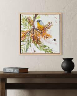 Alternative view of Spotted pardalote in silky oak - Kirsty McIntyre