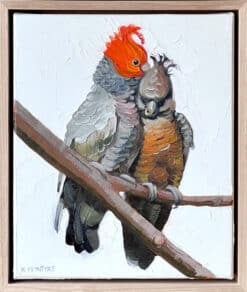 Gang gang pair - Kirsty McIntyre