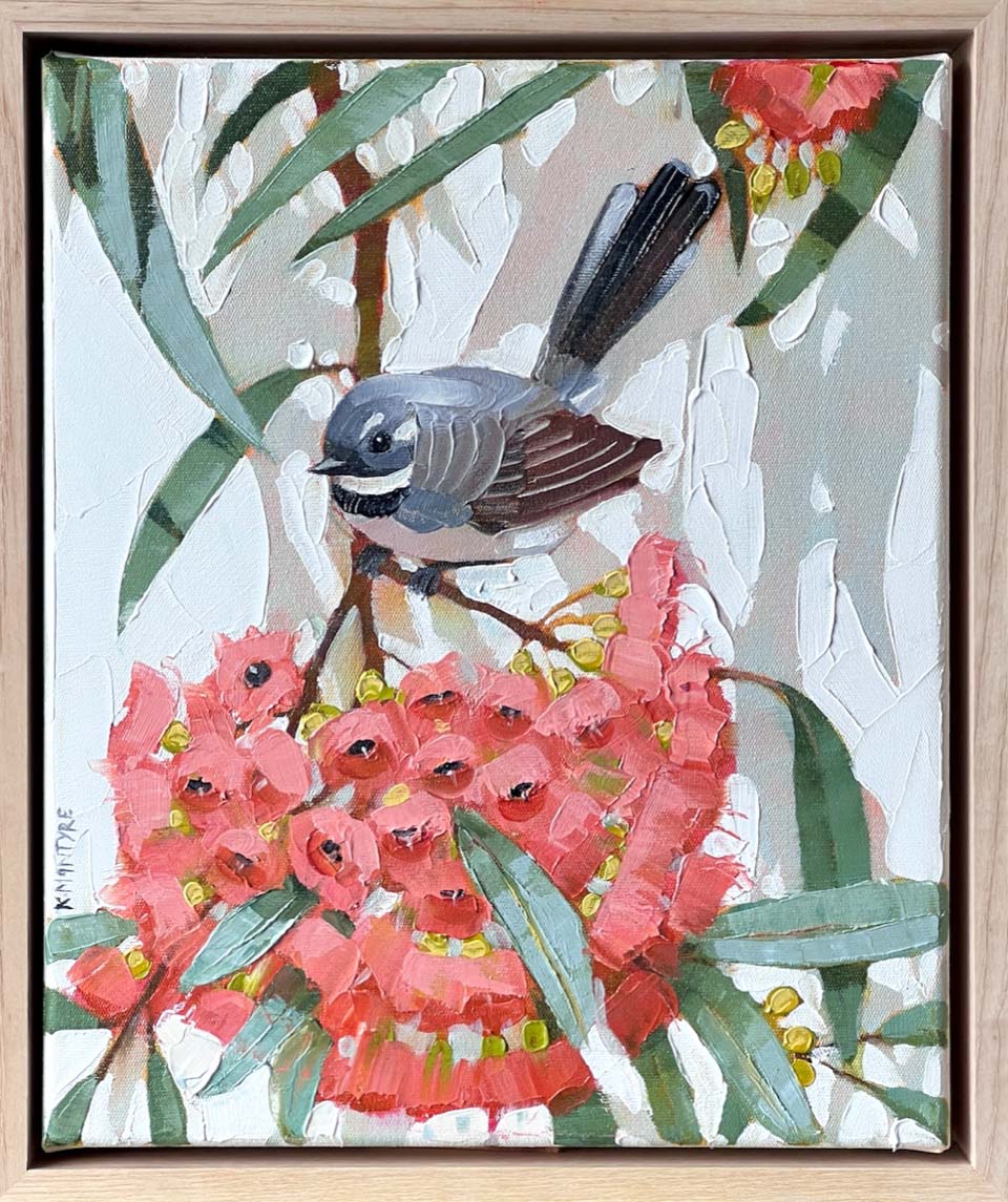 Grey fantail with pink blossom - Kirsty McIntyre