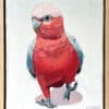 Stepping galah - Kirsty McIntyre