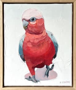 Alternative view of Stepping galah - Kirsty McIntyre