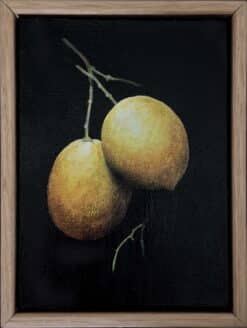 Lemon Pair - Sally Horton