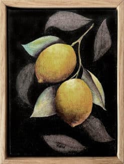 Alternative view of Precious - Sally Horton