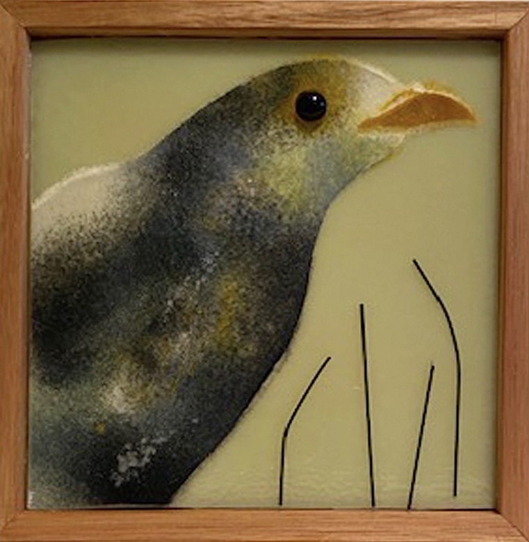 Noisy Miner - Grace Turner