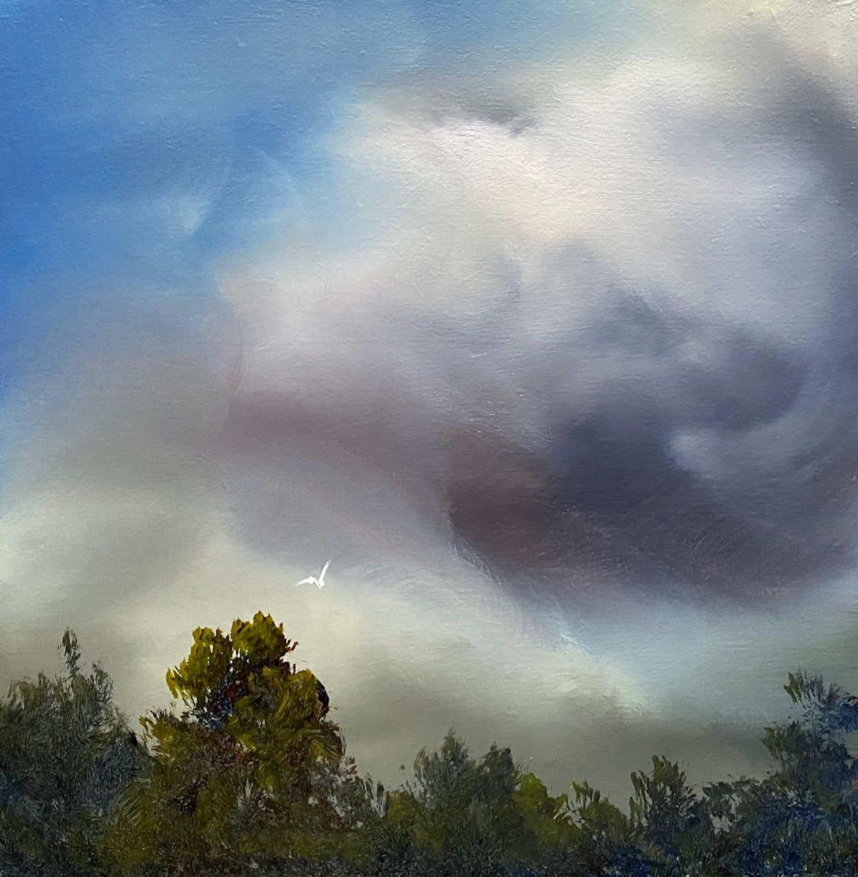 Cloud's Dance - Elaine Green