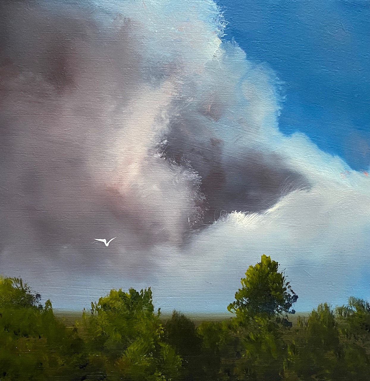 May Sky - Elaine Green