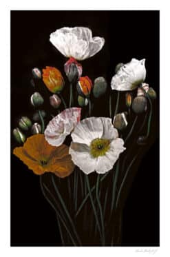 Popping Poppies - Martine Vanderspuy