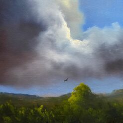 Rain on the Way - Elaine Green
