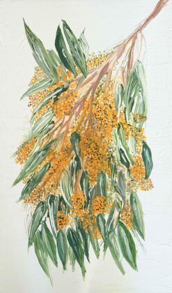 Wattle Bloom - Martine Vanderspuy