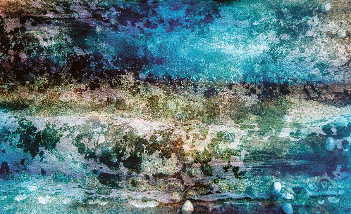 Seabed II - Martine Vanderspuy