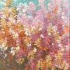 Mulla Mulla Flowers - Belinda Nadwie