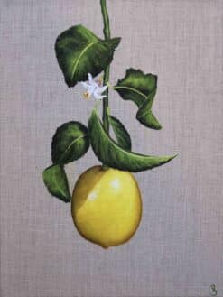 Delphine - Nell Symonds
