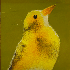 Dotterel #4 - Grace Turner