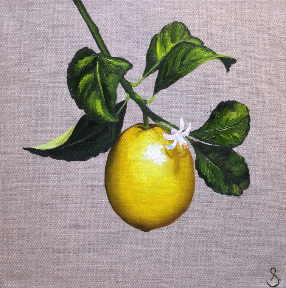 Marcelle - Nell Symonds