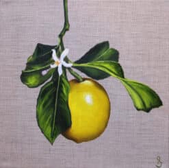 Margaux - Nell Symonds