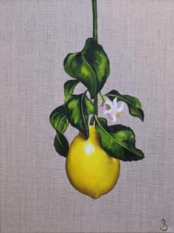 Oceane - Nell Symonds