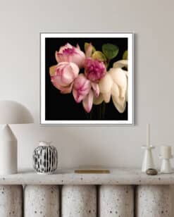 Alternative view of Lotus Love - Martine Vanderspuy